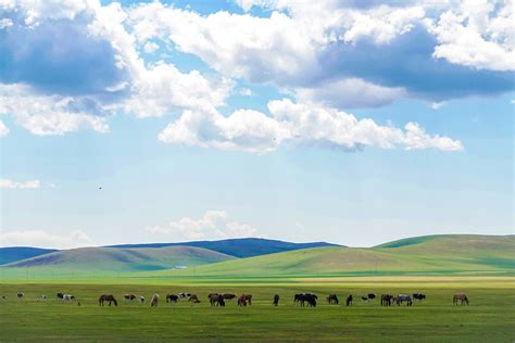  Le Lac Hulunhuir: Un joyau turquoise niché dans les steppes mongoles!