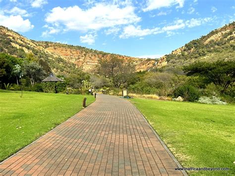  Le Walter Sisulu National Botanical Garden : Un havre de paix verdoyant et une fenêtre sur la biodiversité